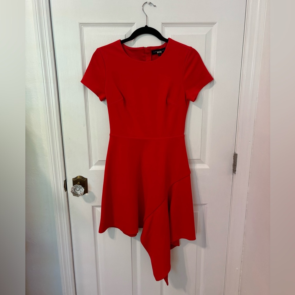 Slate and Willow Red Dress